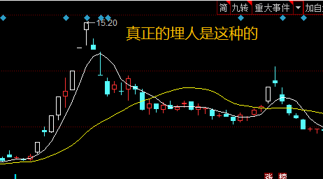 主线选择，大力马与碳线的优劣对比