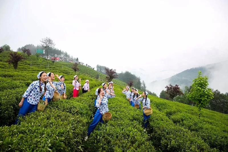 南京千岛湖风景区地址——探寻江南水乡的明珠