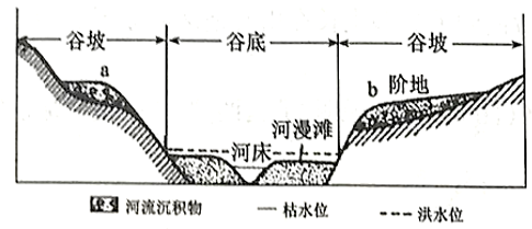 大力马与尼龙线，作为主线的理想选择