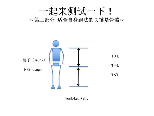 大力马手竿主线线组套装的深度解析与应用指南