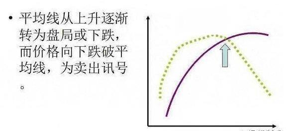 大力马海竿线的优势与应用