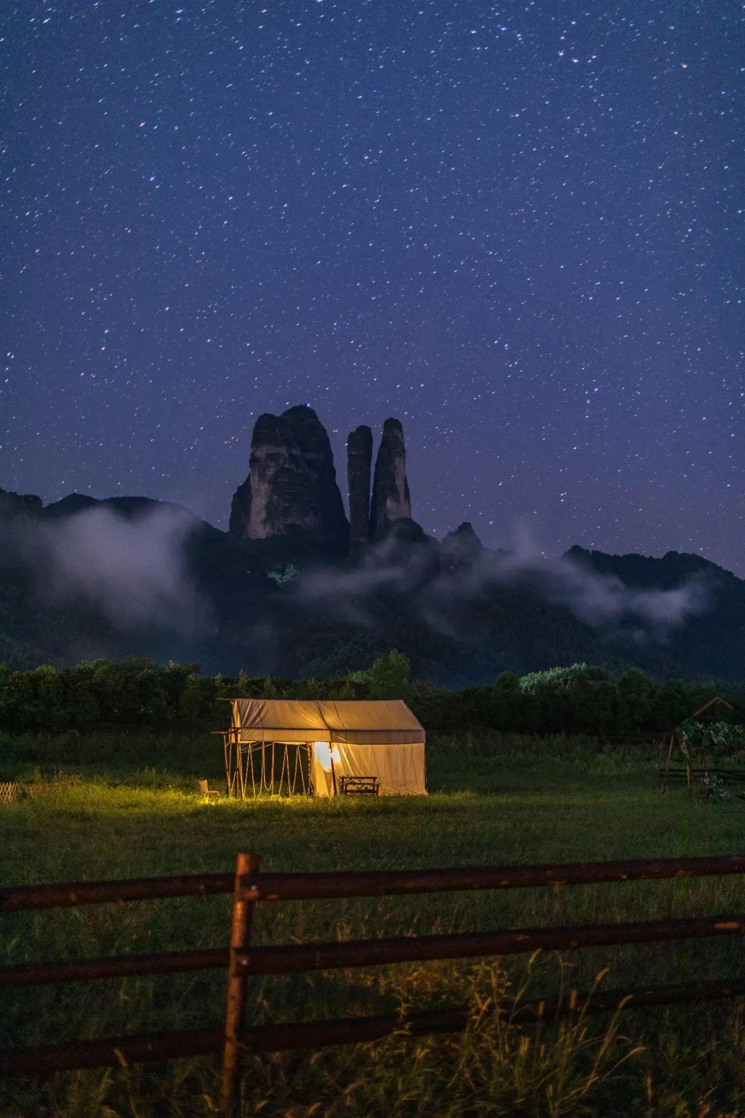 花卉绿植驱蚊盆栽室外，美化环境同时享受宁静夏夜