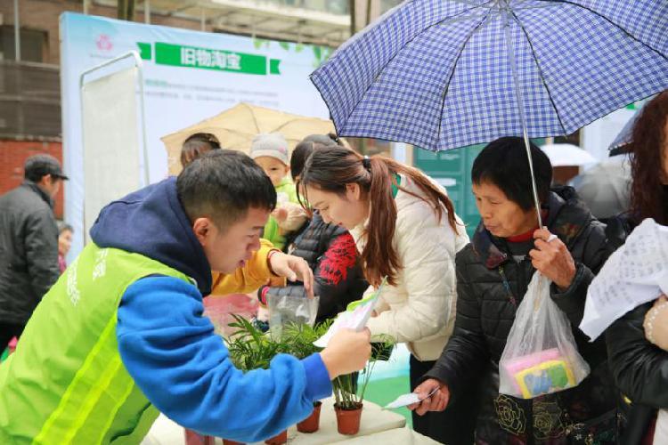 室内绿植盆栽，鱼嘴花的魅力与养护