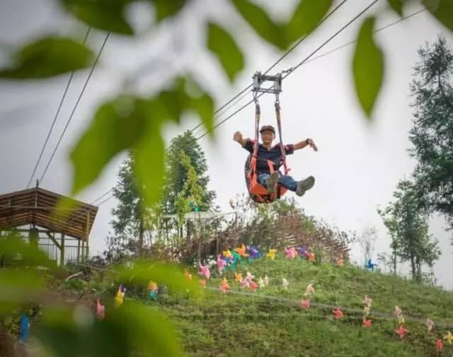 露营森林公园烤鱼烧烤之旅，一场独特的户外体验