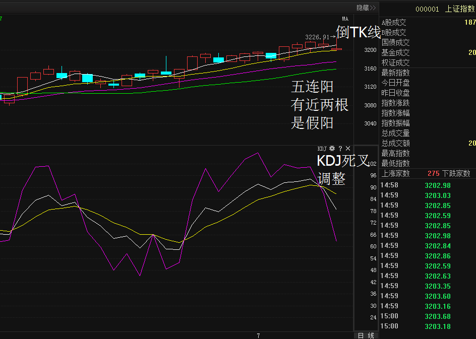 大力马PE线能否作为主线使用，探讨与解析