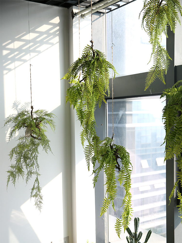 室内仿真垂吊绿植盆栽，美化家居的新选择