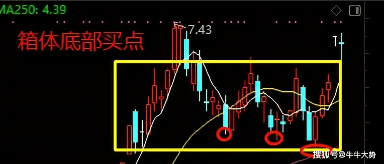 大力马线在海杆主线应用中的潜力与优势探讨