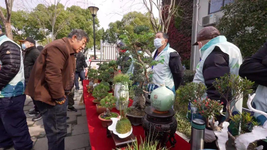 室内高级沙龙绿植盆栽的时尚与艺术