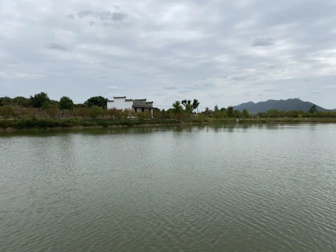 烧烤森林露营地，一场与自然的深度对话