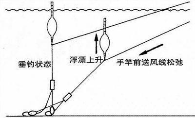 大力马海竿使用线径的合适选择