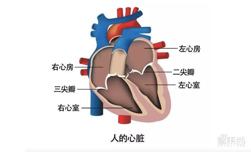 电脑主机配置结构图，洞悉计算机硬件的心脏