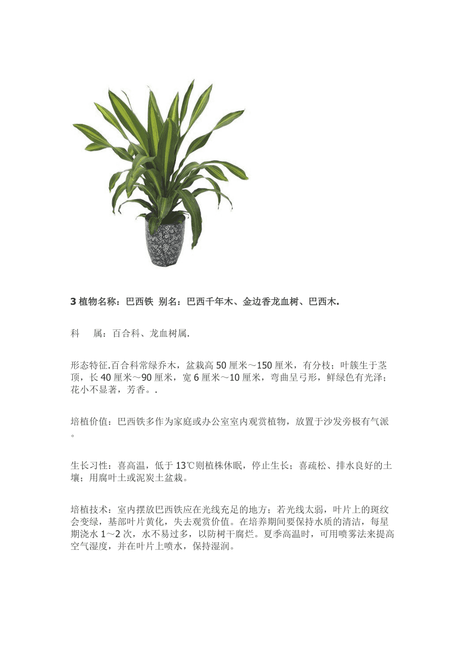 室内装饰绿植盆栽的种类及其独特魅力