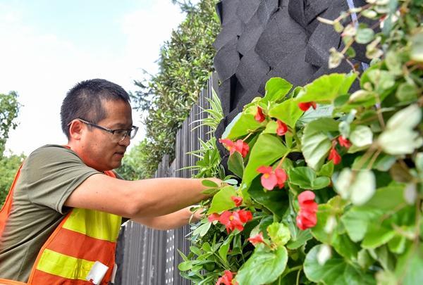 宁波绿植盆栽室内批发，繁荣的市场与多样的选择