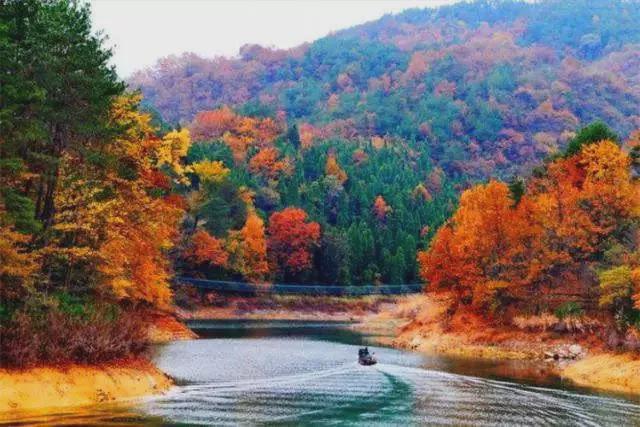 千岛湖红叶湾秋景胜地——探寻自然之美的绝佳地址