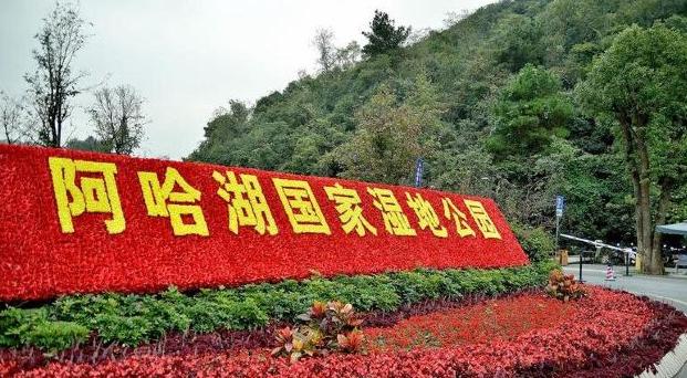 千岛湖婚纱照外景拍摄胜地，梦幻般的浪漫之旅