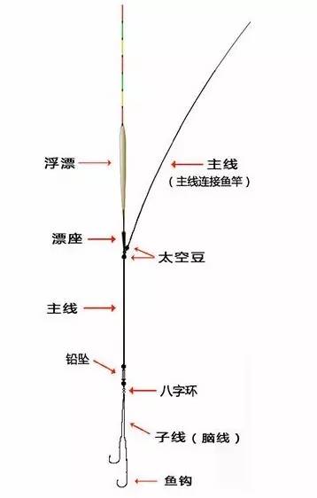 六号大力马线主线，钓鱼中的得力助手