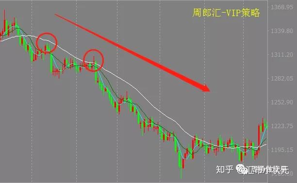 巨物大力马主线的选用，探讨最佳线号选择