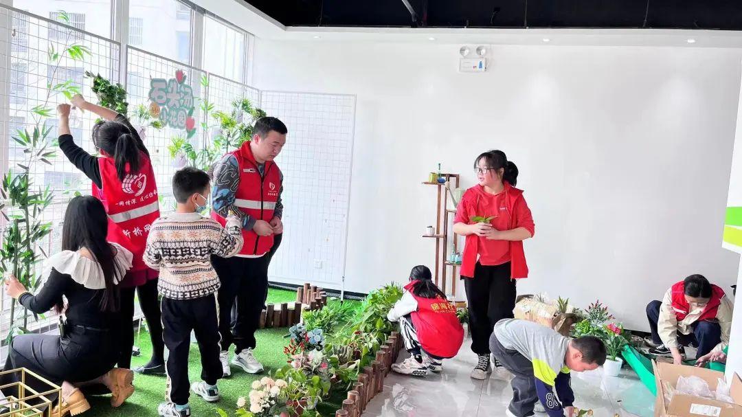 春节绿植盆栽室外——赋予节日生机与绿意的新视角