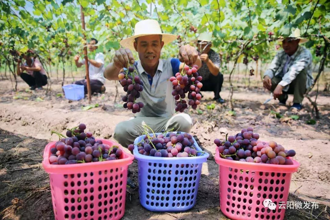 千岛湖吃货公社，美食之旅的必选之地