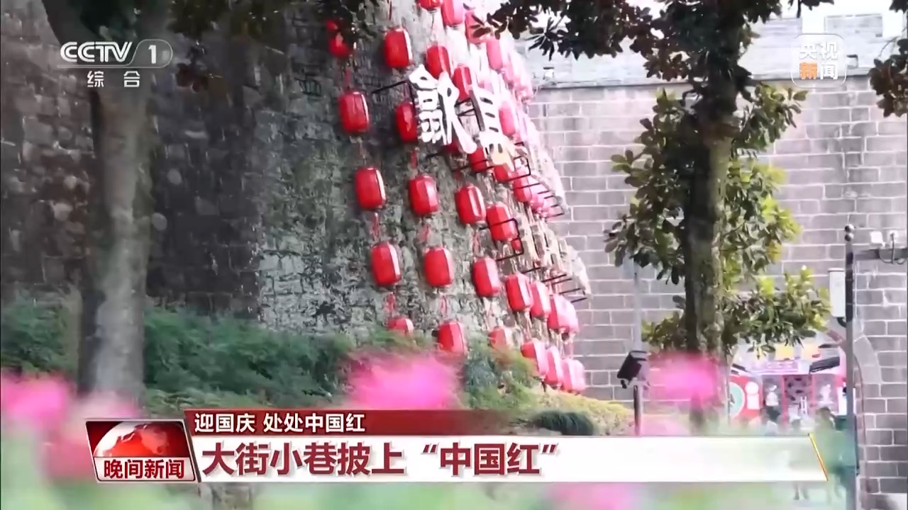 绿植盆栽，点亮室内桌面，增添美好氛围